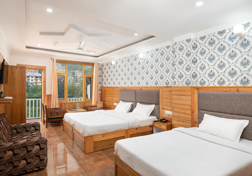 hotelmountviewhimachal